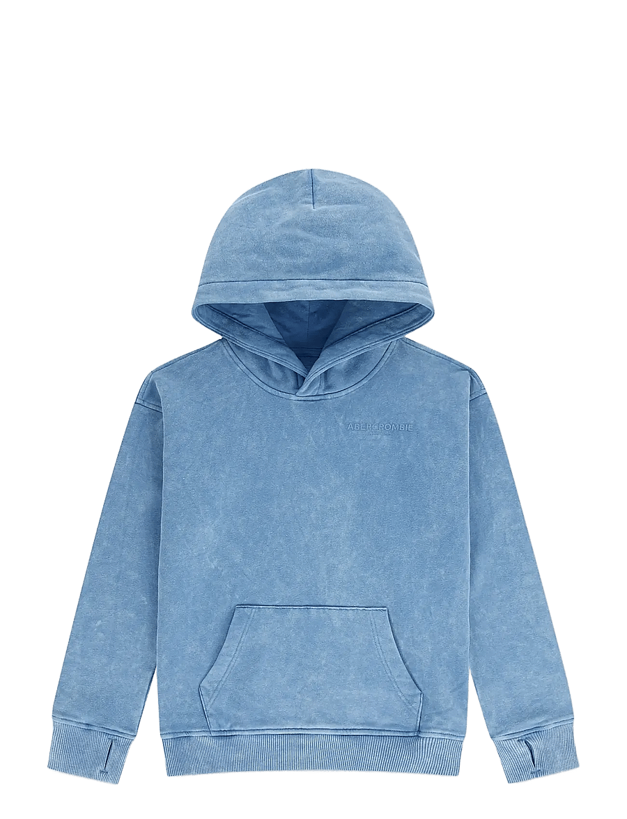 Abercrombie Kids - PO-PULL-OVER HOODY - kapuzenpullover - moonlight blue - 0