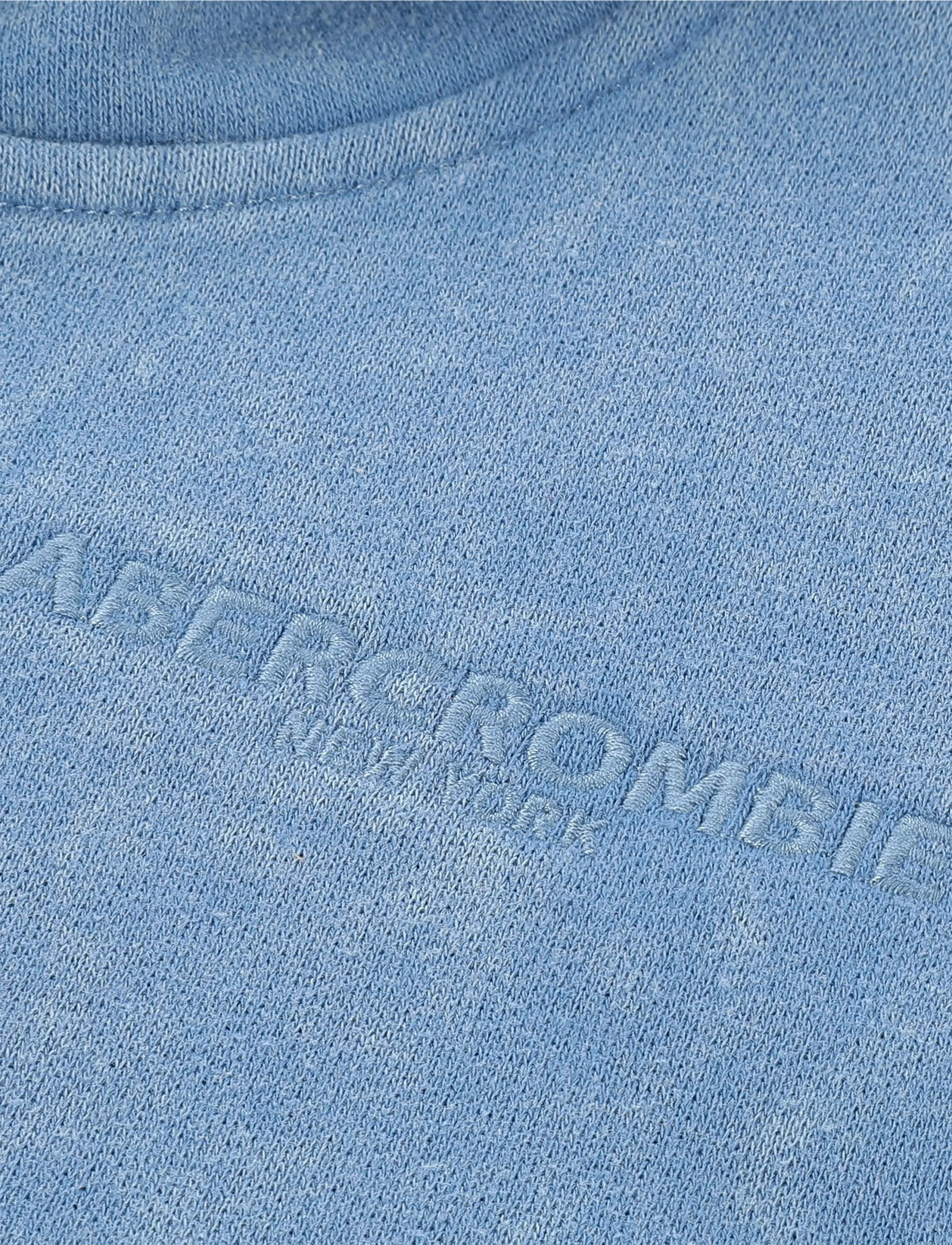 Abercrombie Kids - PO-PULL-OVER HOODY - kapuutsiga pusad - moonlight blue - 2