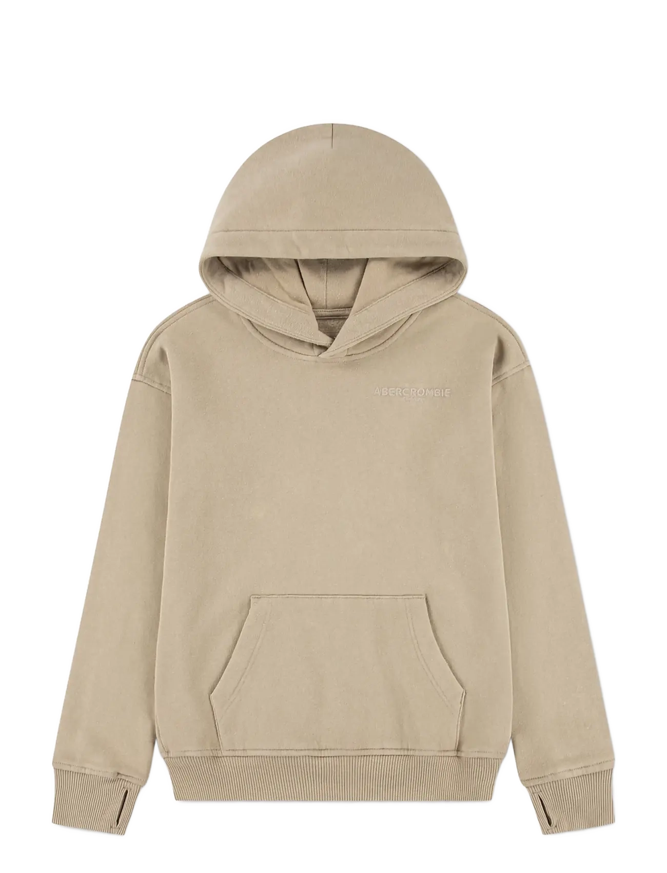 Abercrombie Kids PO-PULL-OVER HOODY - Tagasi kooli - SIMPLY TAUPE / beige