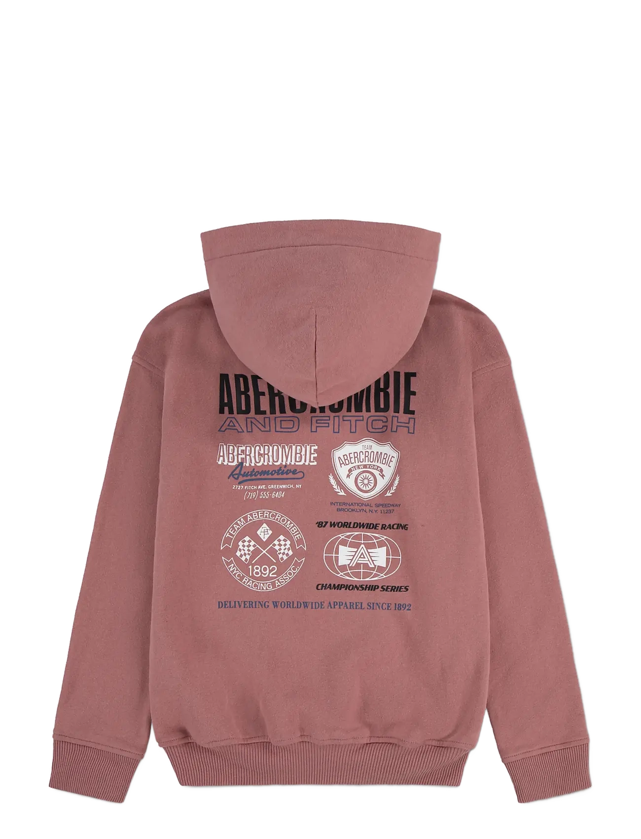 Abercrombie Kids - PO-PULL-OVER HOODY - hættetrøjer - dusty rose - 1