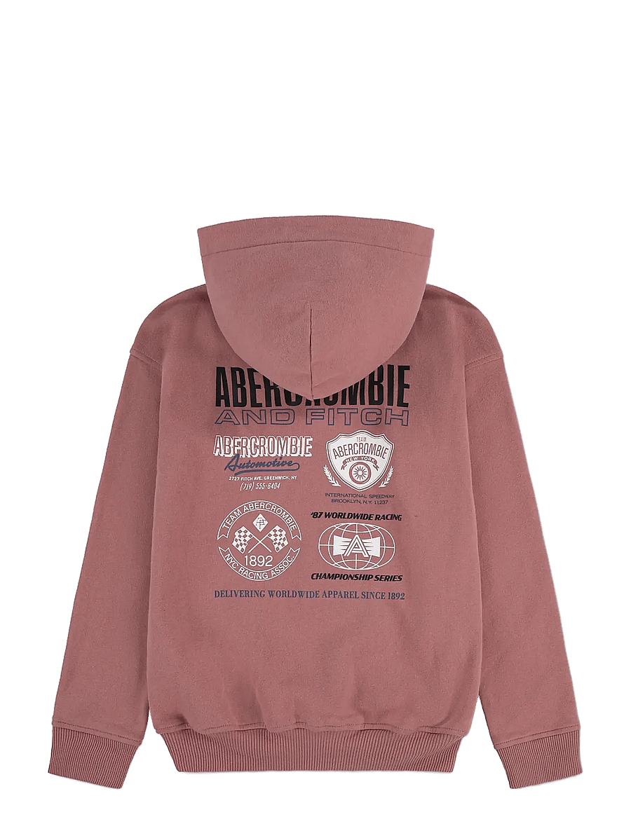Abercrombie Kids - PO-PULL-OVER HOODY - kapuutsiga pusad - dusty rose - 1