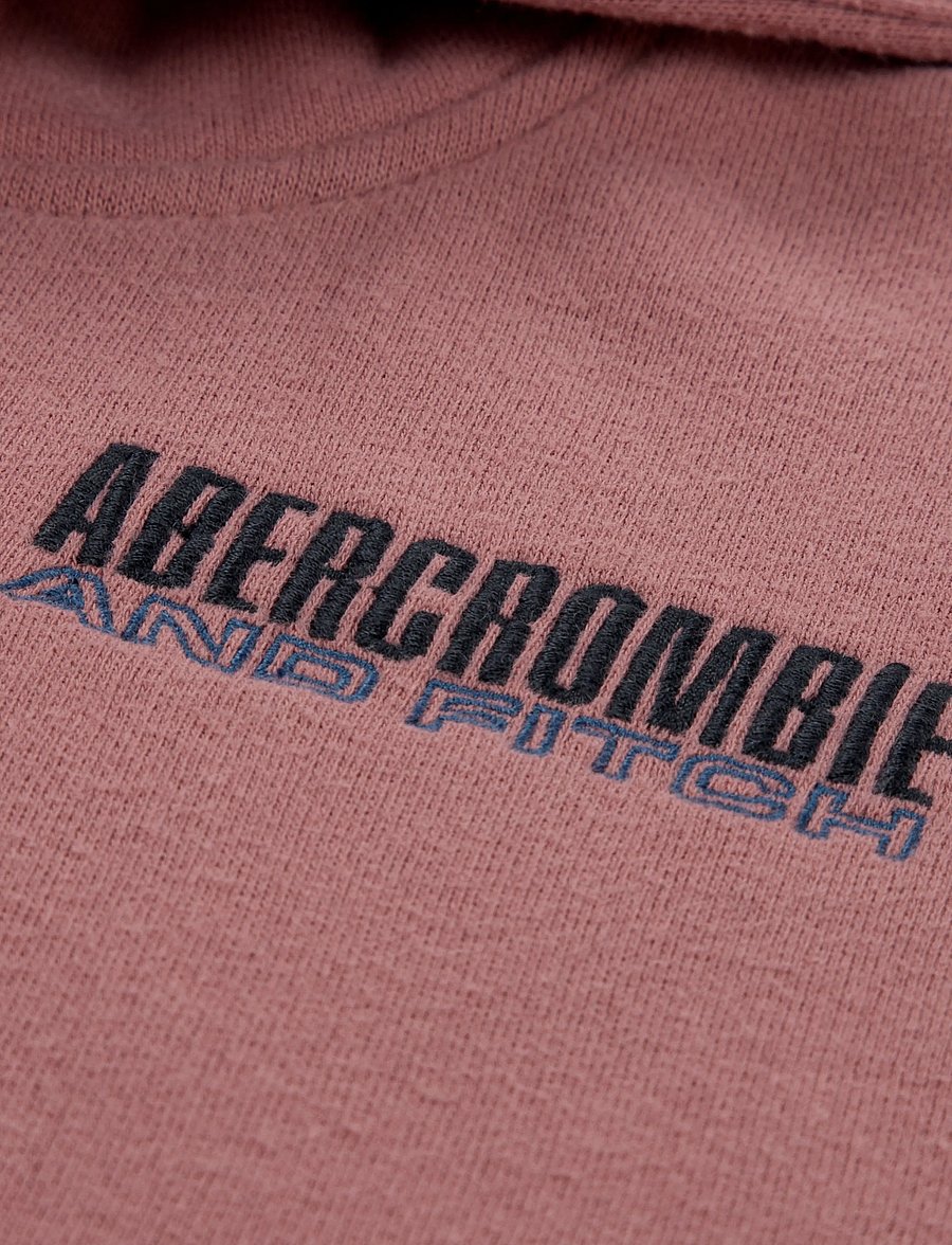 Abercrombie Kids - PO-PULL-OVER HOODY - kapuutsiga pusad - dusty rose - 2