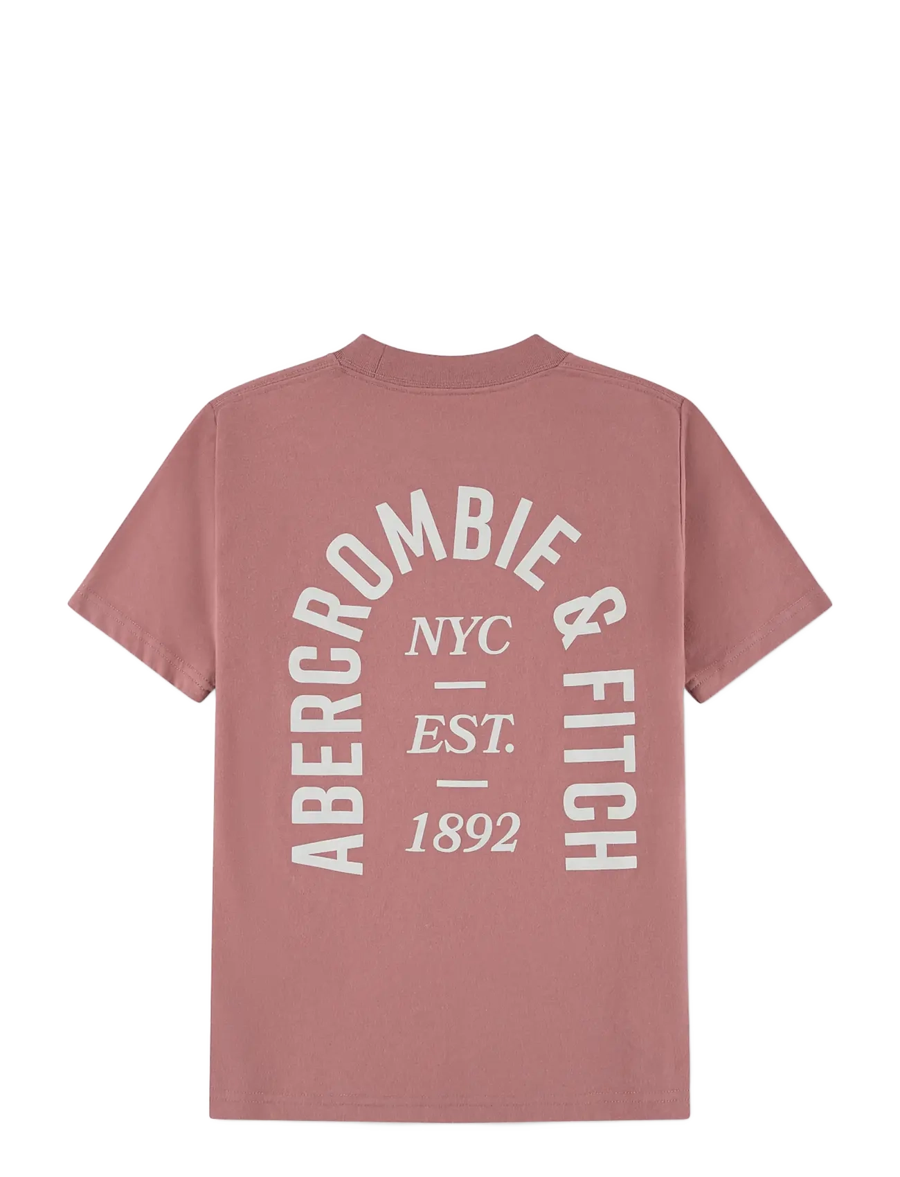 Abercrombie Kids - TE-S/S TEE - kurzärmelige - dusty rose - 1