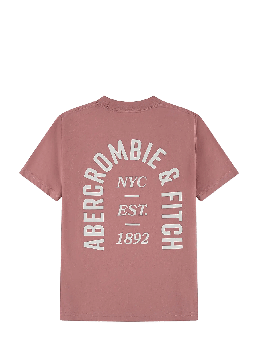 Abercrombie Kids - TE-S/S TEE - odzież - dusty rose - 1