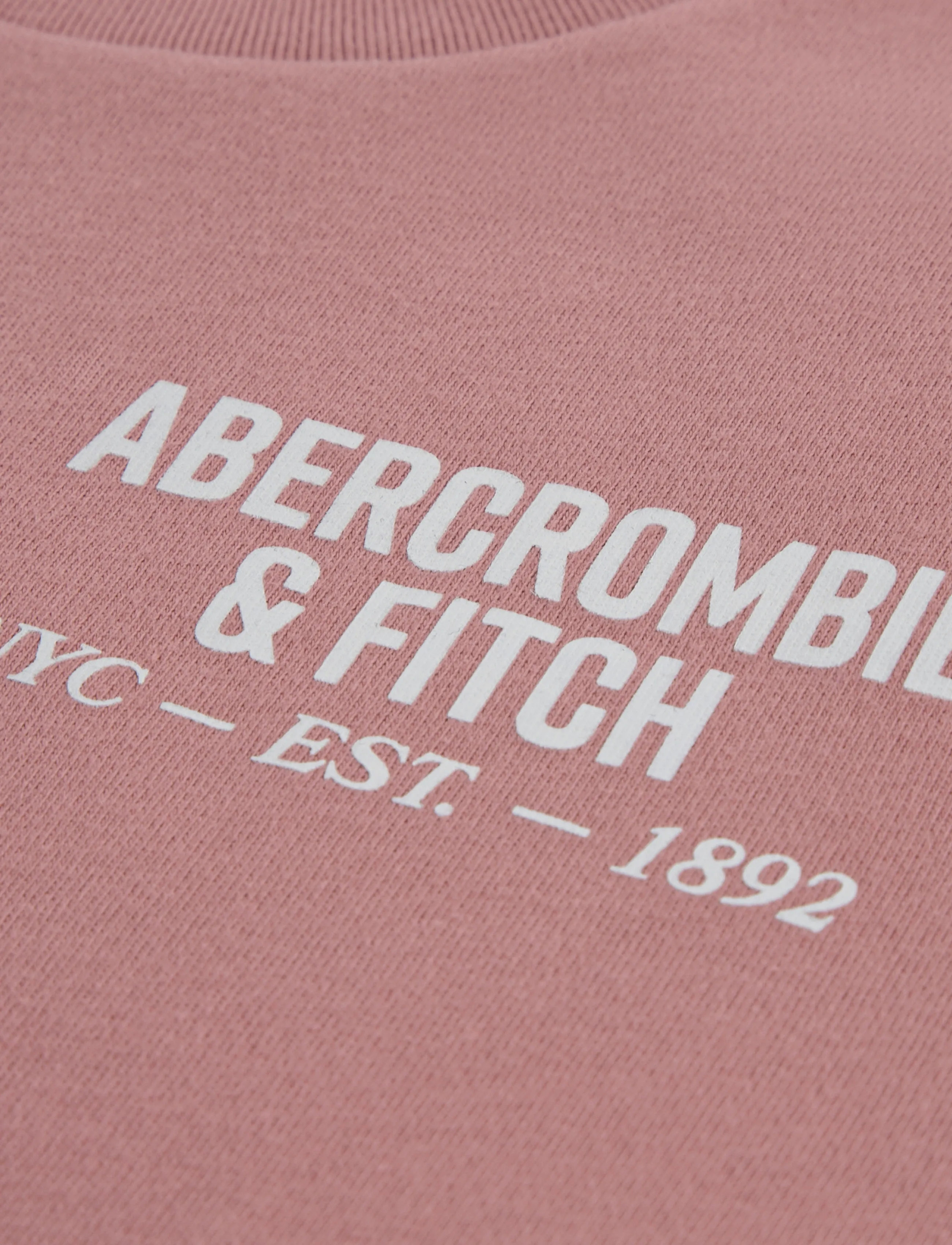 Abercrombie Kids - TE-S/S TEE - kurzärmelige - dusty rose - 2