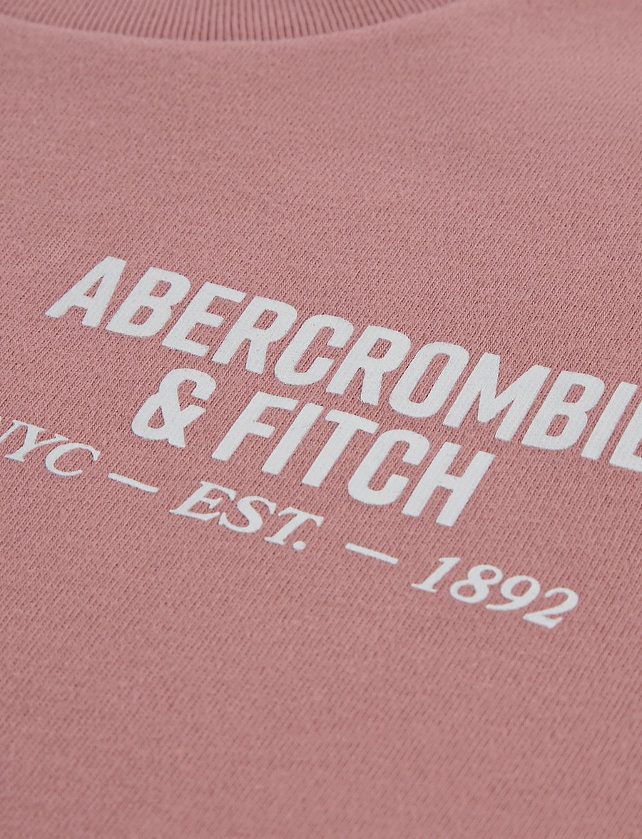 Abercrombie Kids - TE-S/S TEE - odzież - dusty rose - 2
