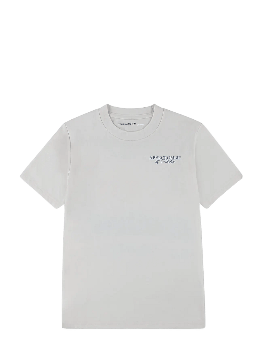 Abercrombie Kids - TE-S/S TEE - kurzärmelige - jet stream - 0