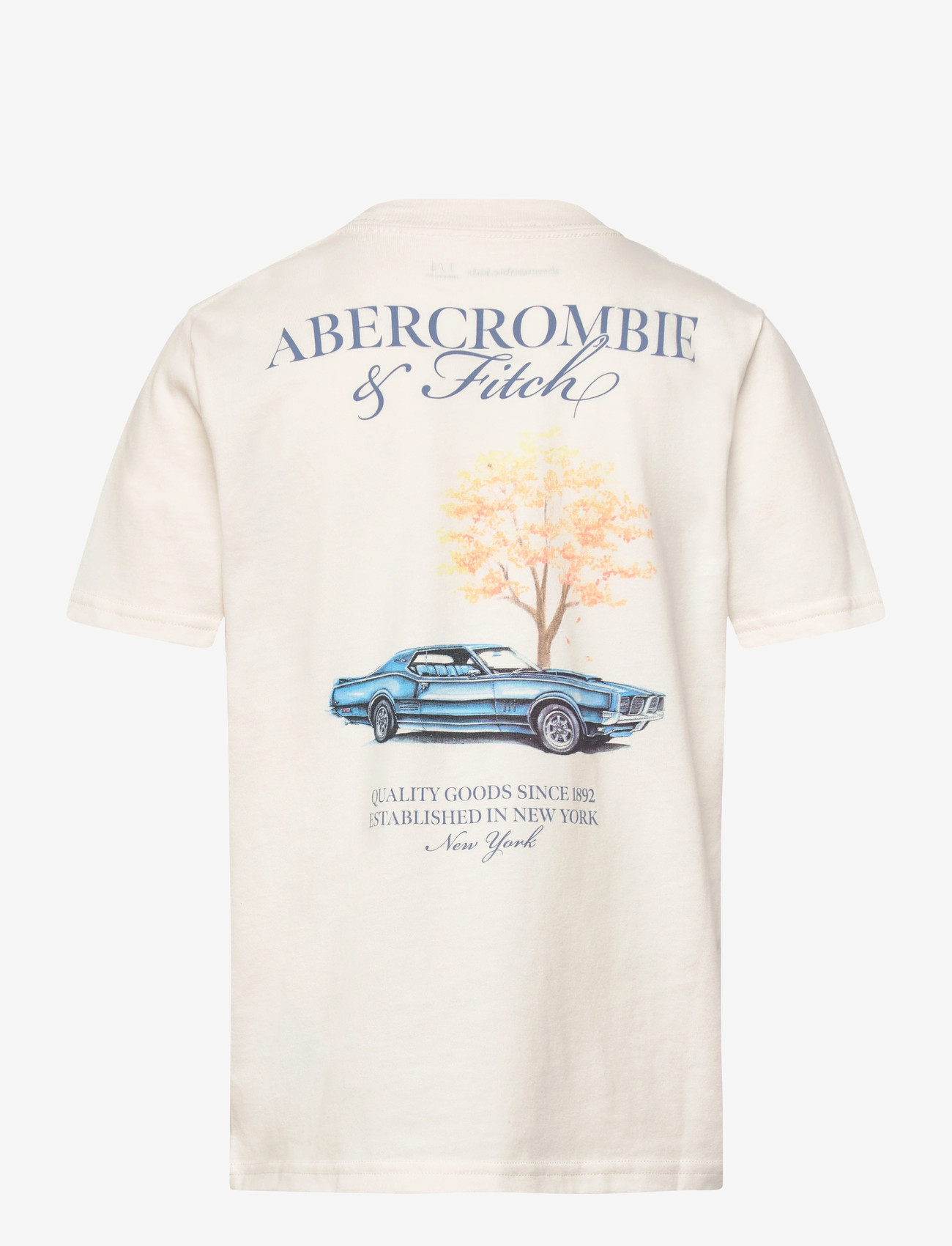 Abercrombie Kids - TE-S/S TEE - kortärmade t-shirts - jet stream - 1
