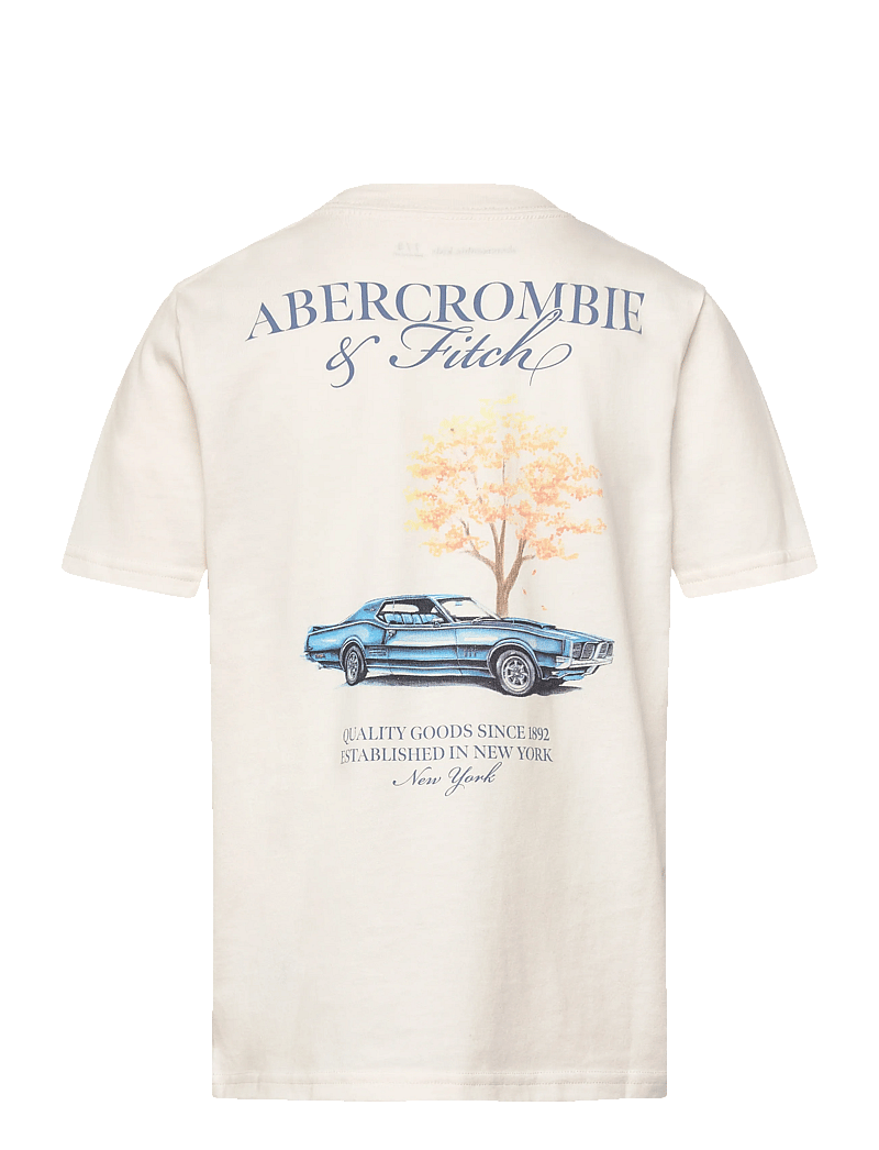 Abercrombie Kids - TE-S/S TEE - kurzärmelige - jet stream - 1