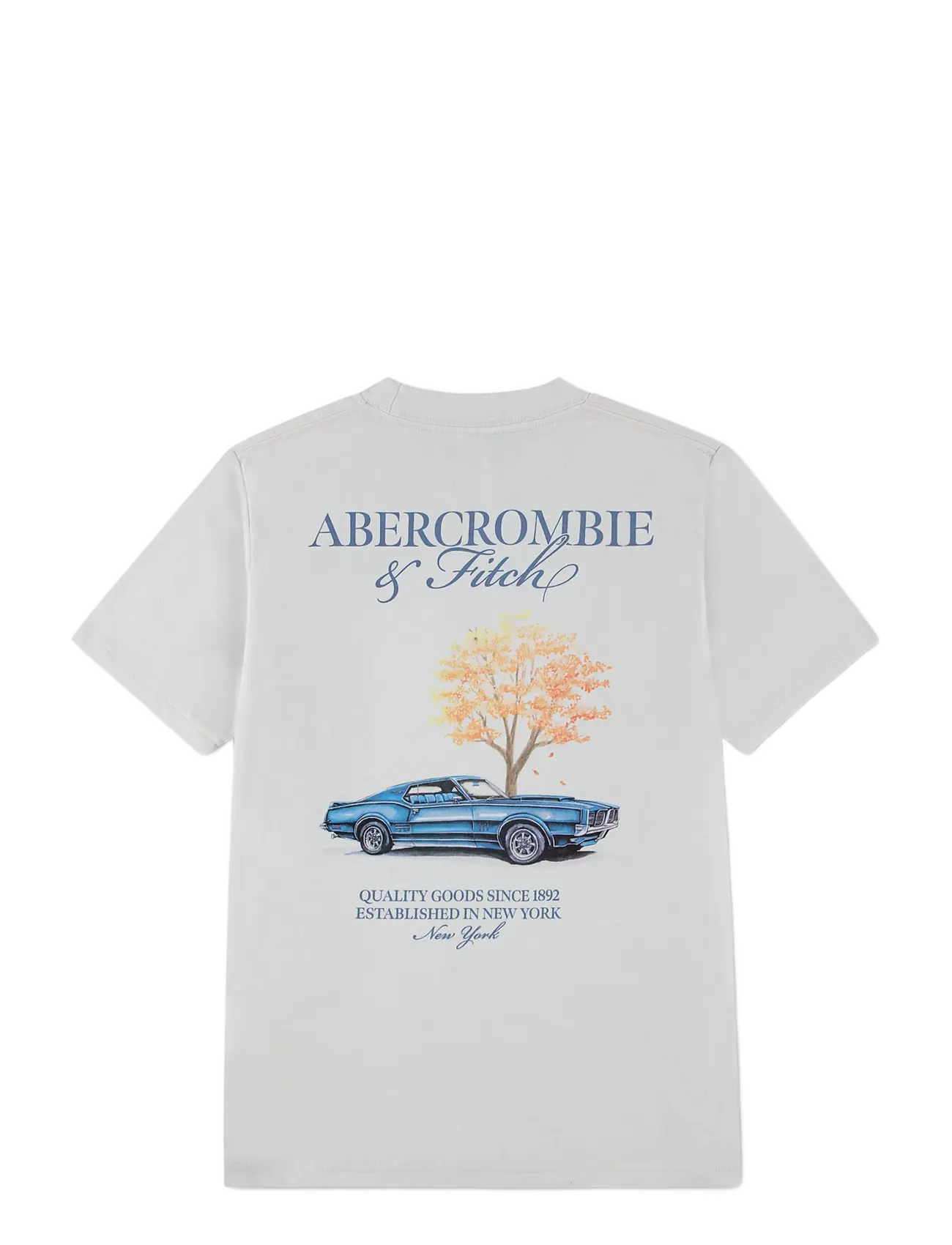 Abercrombie Kids - TE-S/S TEE - lühikeste varrukatega t-särgid - jet stream - 1