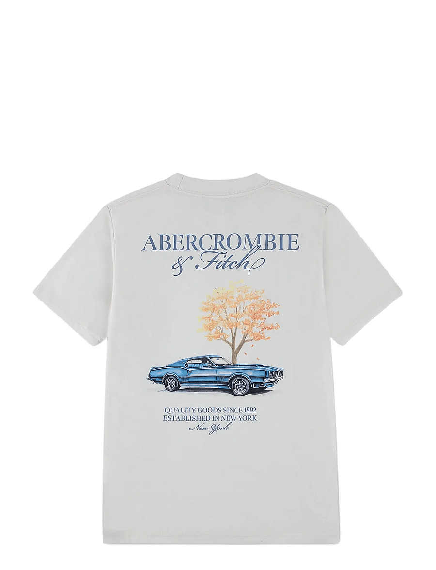 Abercrombie Kids - TE-S/S TEE - kurzärmelige - jet stream - 1