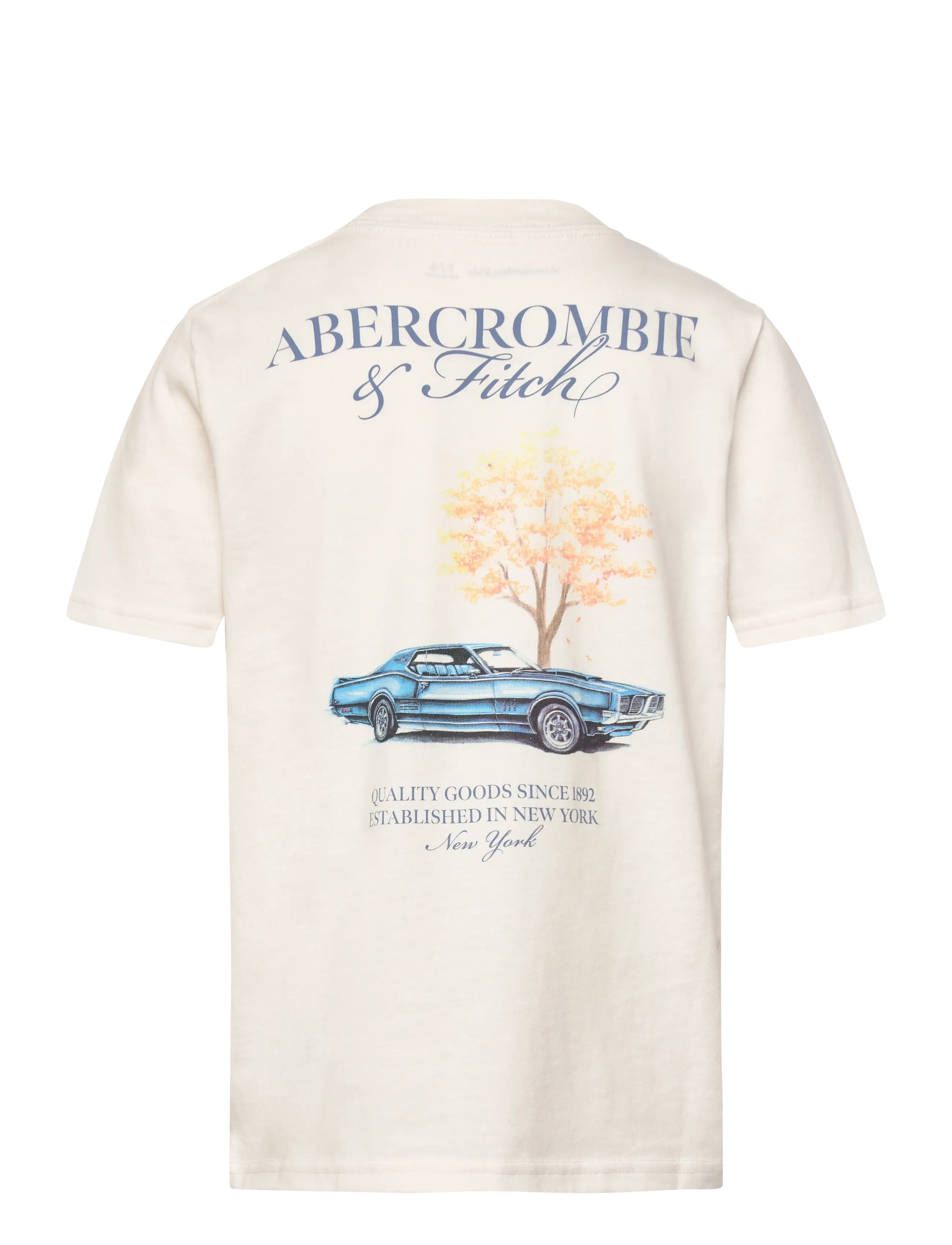 Abercrombie Kids - TE-S/S TEE - kurzärmelige - jet stream - 1