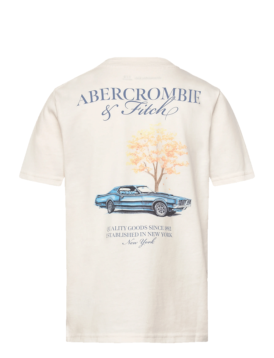 Abercrombie Kids - TE-S/S TEE - kurzärmelige - jet stream - 1
