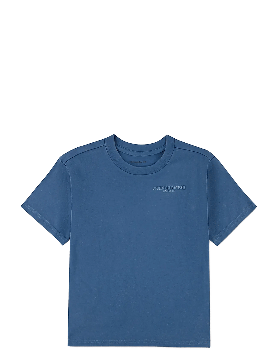 Abercrombie Kids - KT-S/S KNIT TOP - kurzärmelige - moonlight blue - 1