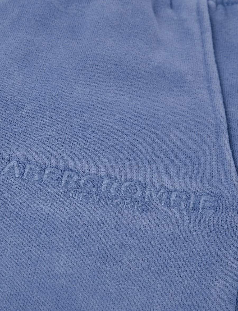 Abercrombie Kids - T9-FLEECE SHORT - lühikesed dressipüksid - moonlight blue - 5