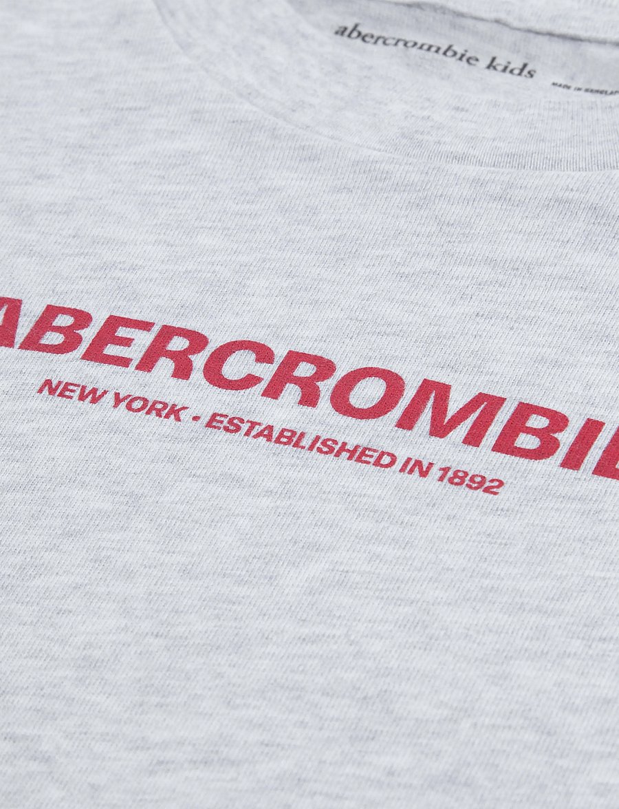 Abercrombie Kids - FF-2-FER - langärmelig - anf light grey heather - 2