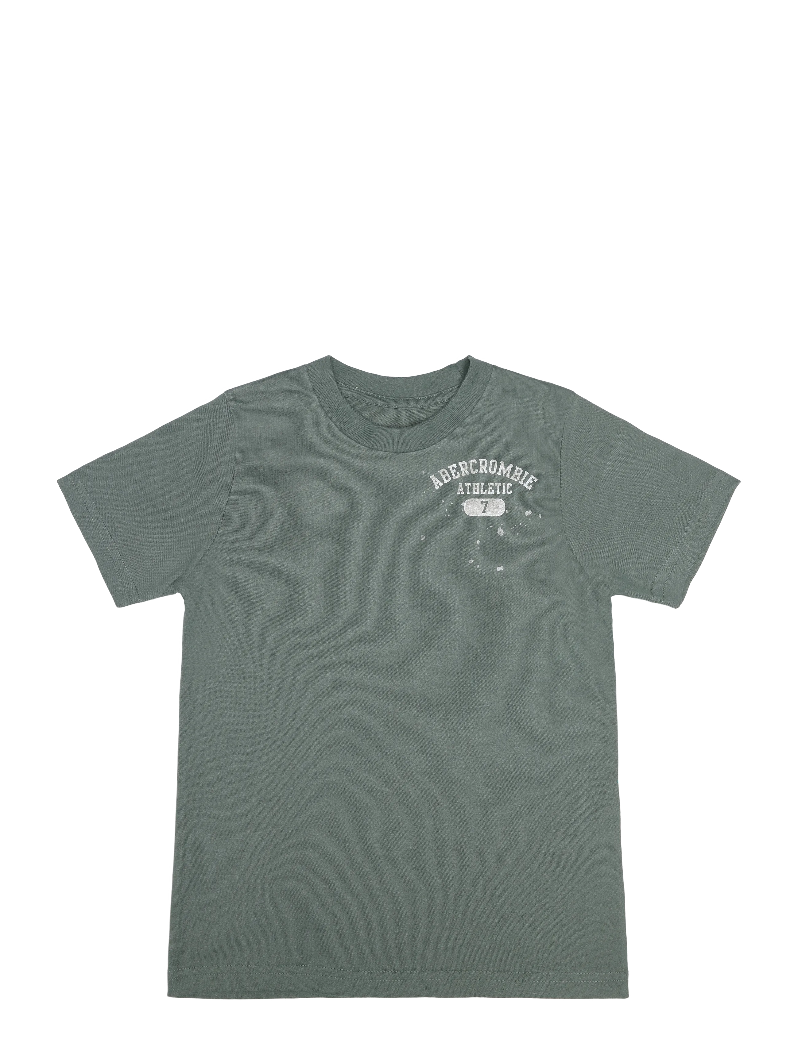 Abercrombie Kids TE-S/S TEE - Tagasi kooli - LAUREL WREATH / green