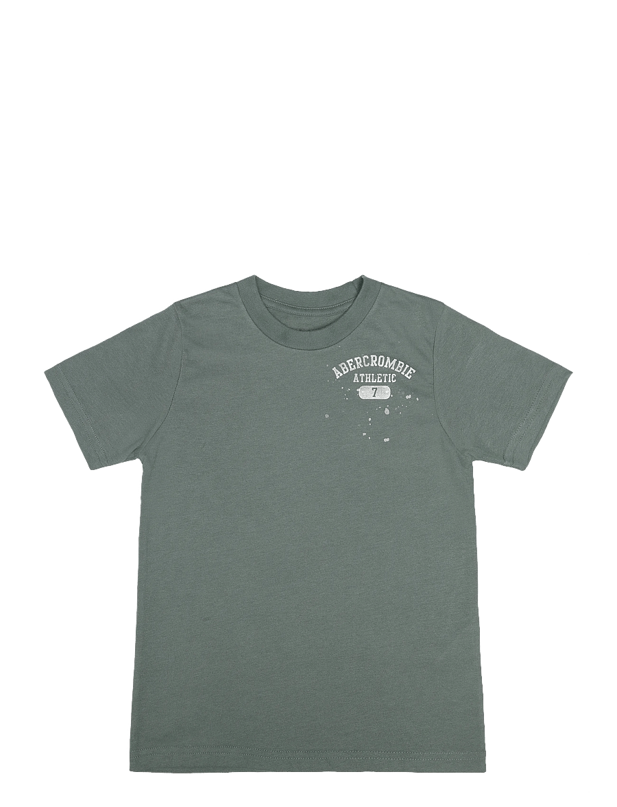 Abercrombie Kids - TE-S/S TEE - kurzärmelige - laurel wreath - 0