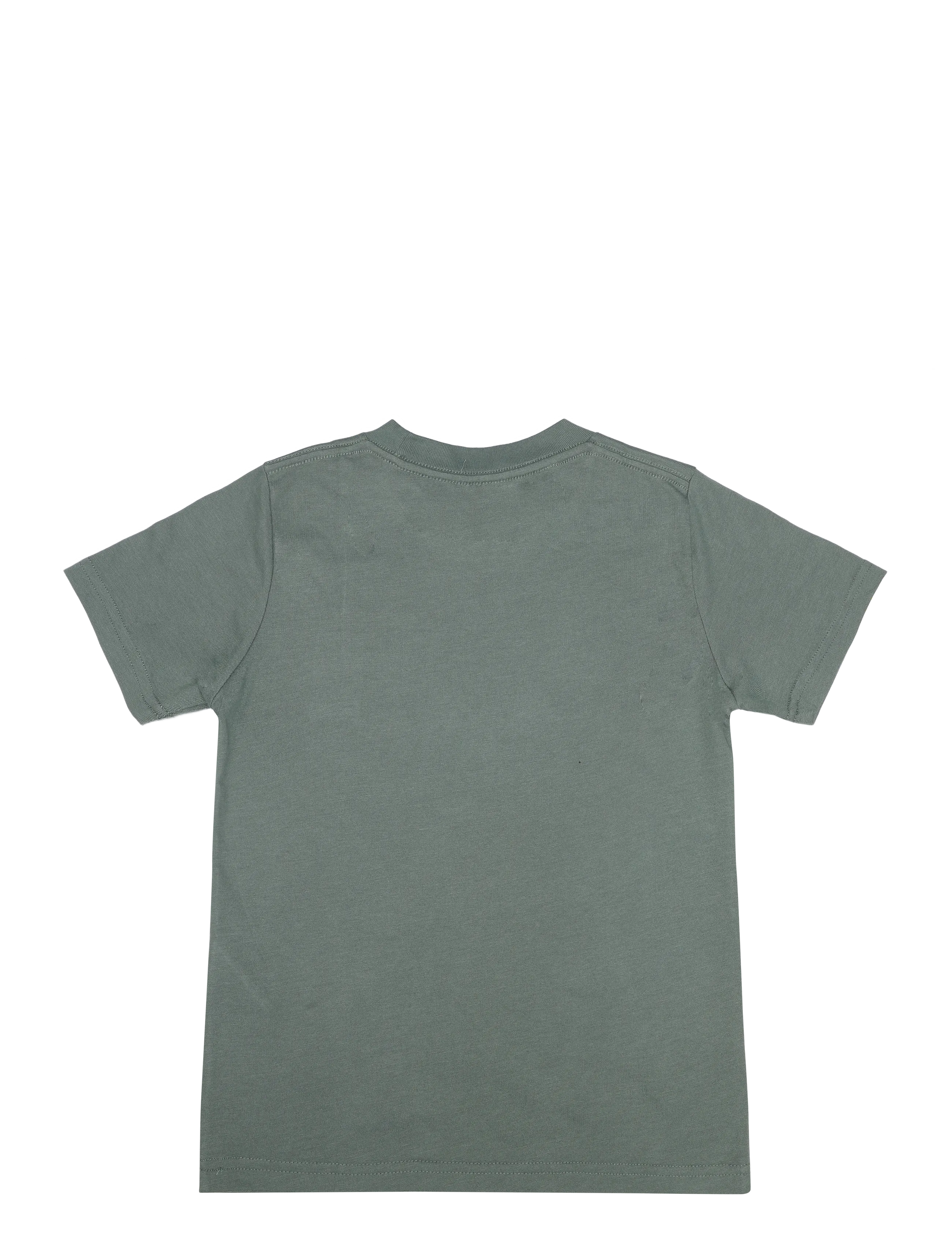 Abercrombie Kids - TE-S/S TEE - lühikeste varrukatega t-särgid - laurel wreath - 1