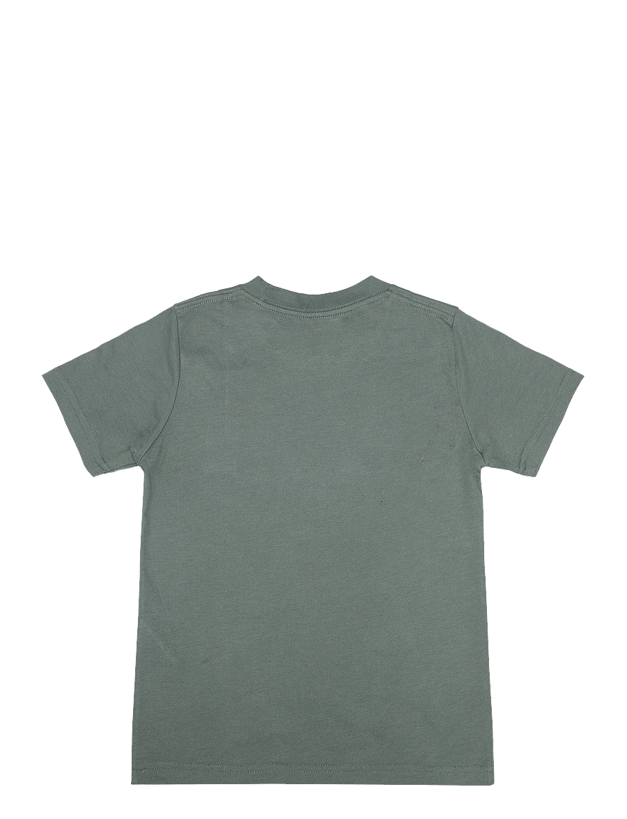 Abercrombie Kids - TE-S/S TEE - kurzärmelige - laurel wreath - 1