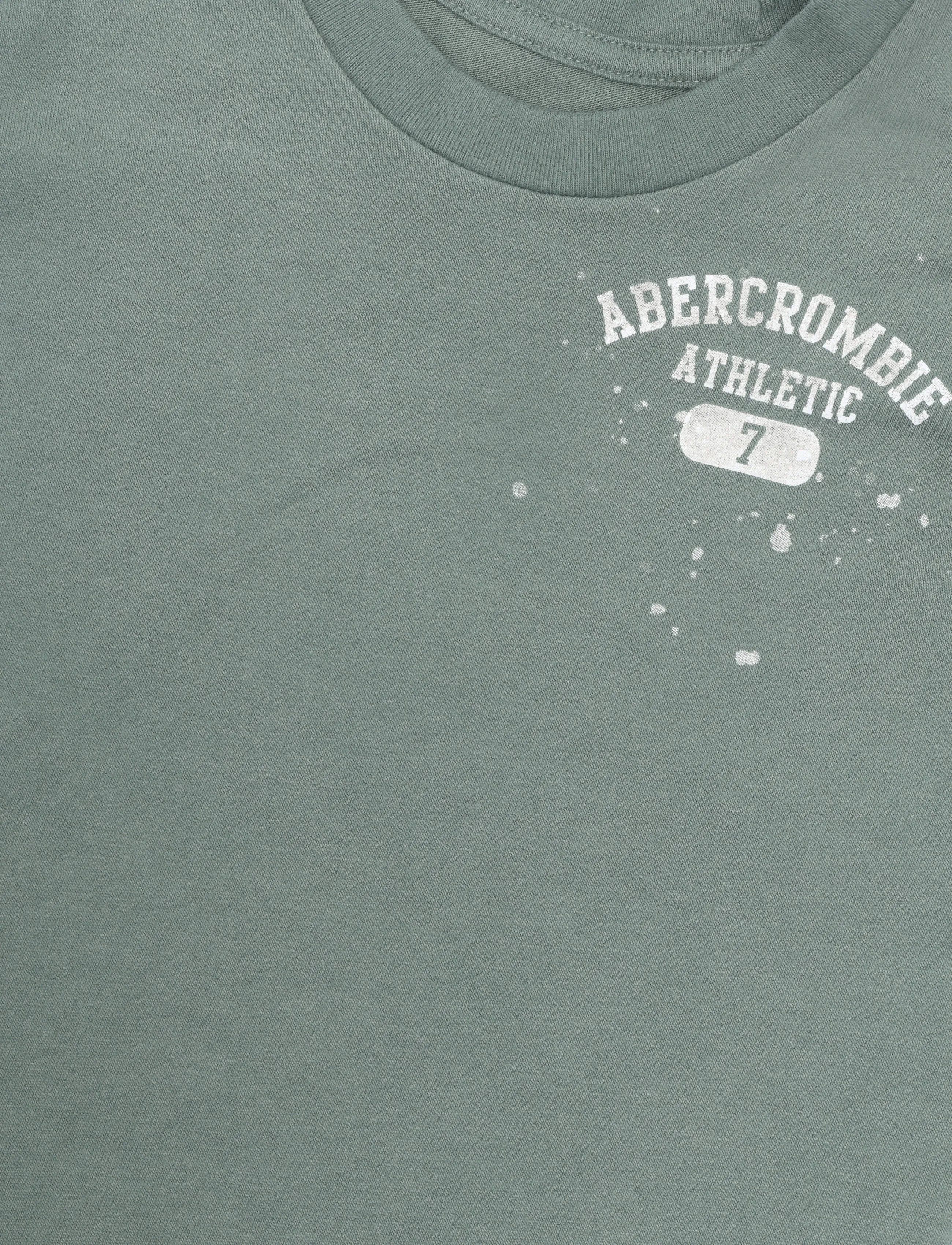 Abercrombie Kids - TE-S/S TEE - lühikeste varrukatega t-särgid - laurel wreath - 2