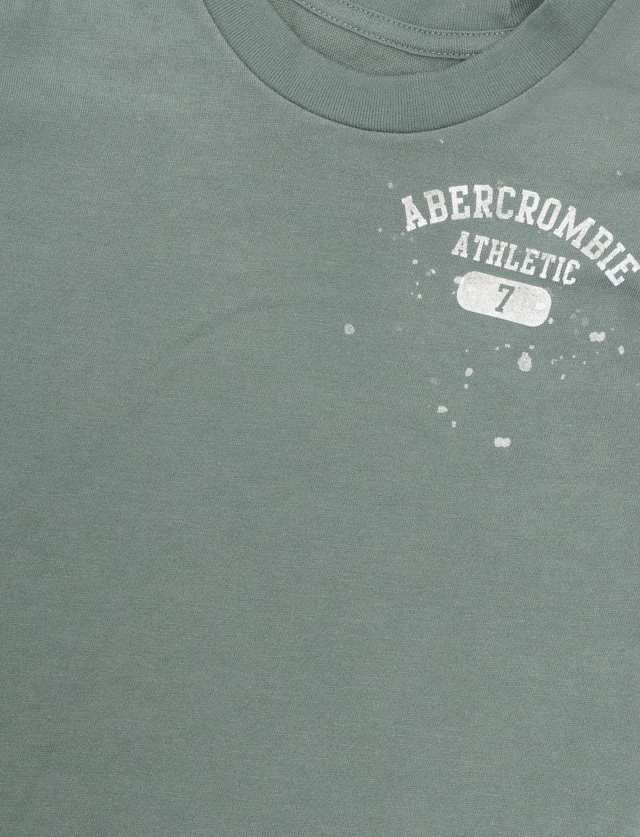 Abercrombie Kids - TE-S/S TEE - kurzärmelige - laurel wreath - 2