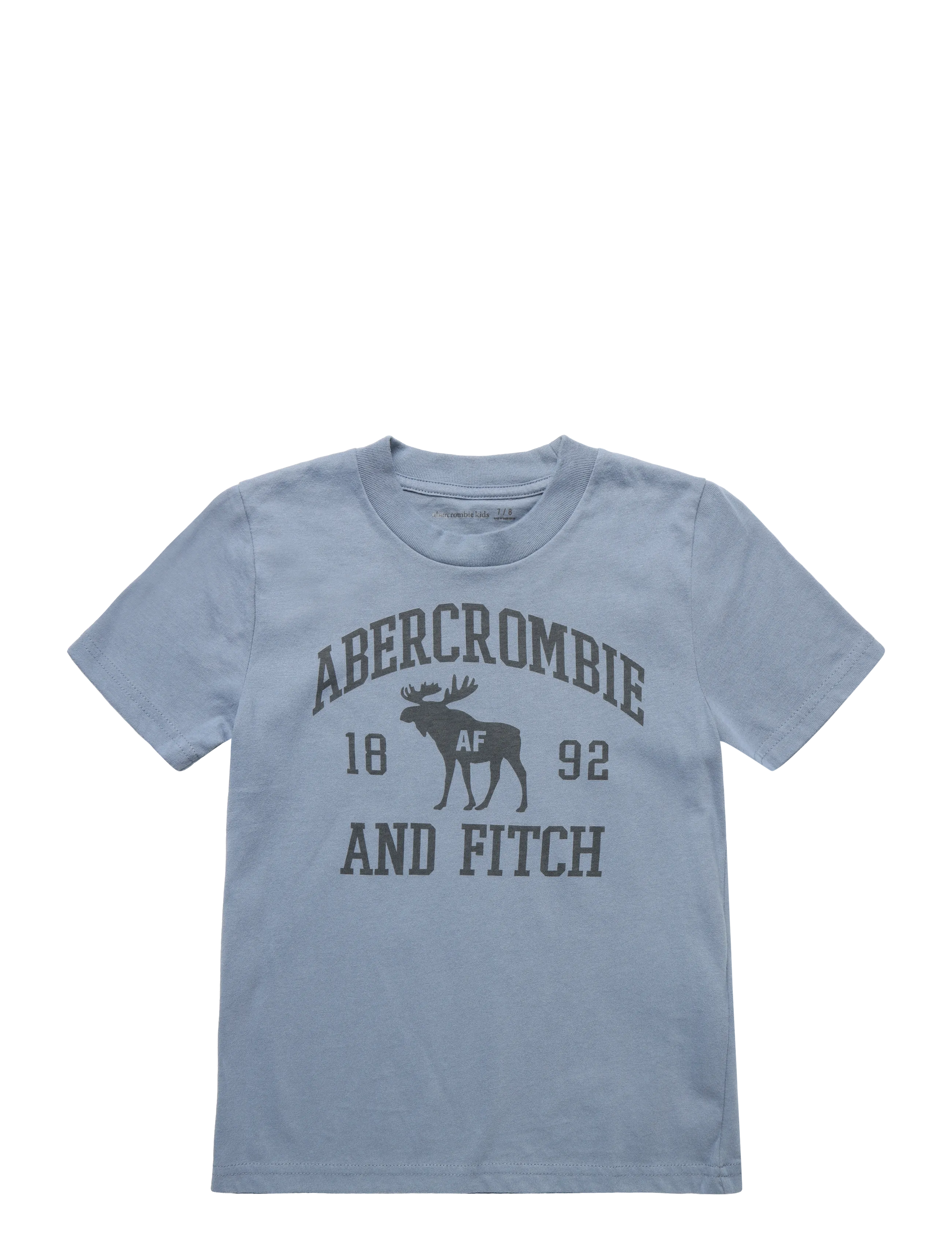 Abercrombie Kids TE-S/S TEE - T-särgid - FLINT STONE / blue
