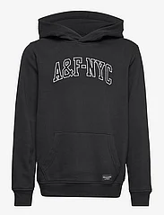 Abercrombie & Fitch - kids BOYS SWEATSHIRTS - hoodies - black - 0