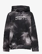 Abercrombie and fitch hoodies sale sales