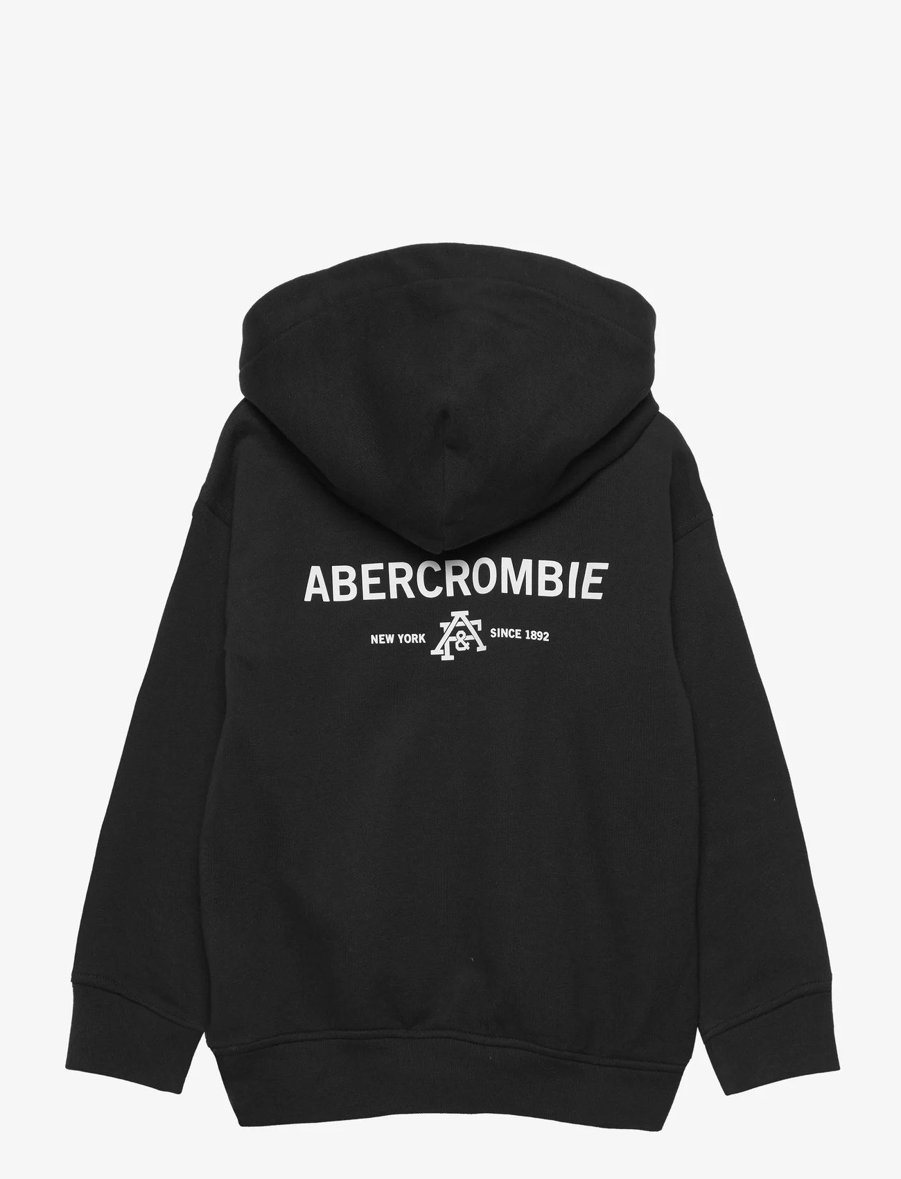 Abercrombie & Fitch - kids BOYS SWEATSHIRTS - džemperi ar kapuci - anthracite - 1