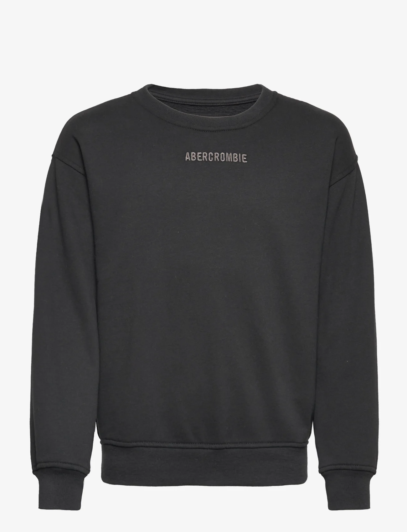 Abercrombie & Fitch - kids BOYS SWEATSHIRTS - sweatshirts - anthracite - 0