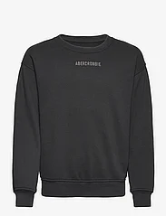 Abercrombie & Fitch - kids BOYS SWEATSHIRTS - sweatshirts - anthracite - 0