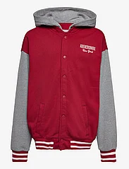 Abercrombie & Fitch - kids BOYS SWEATSHIRTS - spring jackets - red dahlia - 0