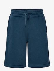 Abercrombie & Fitch - kids BOYS SHORTS - sweat shorts - majorica blue - 0