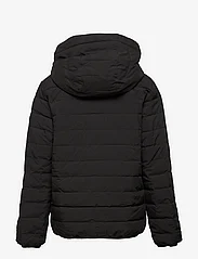 Abercrombie & Fitch - kids BOYS OUTERWEAR - puffer & padded - black - 1