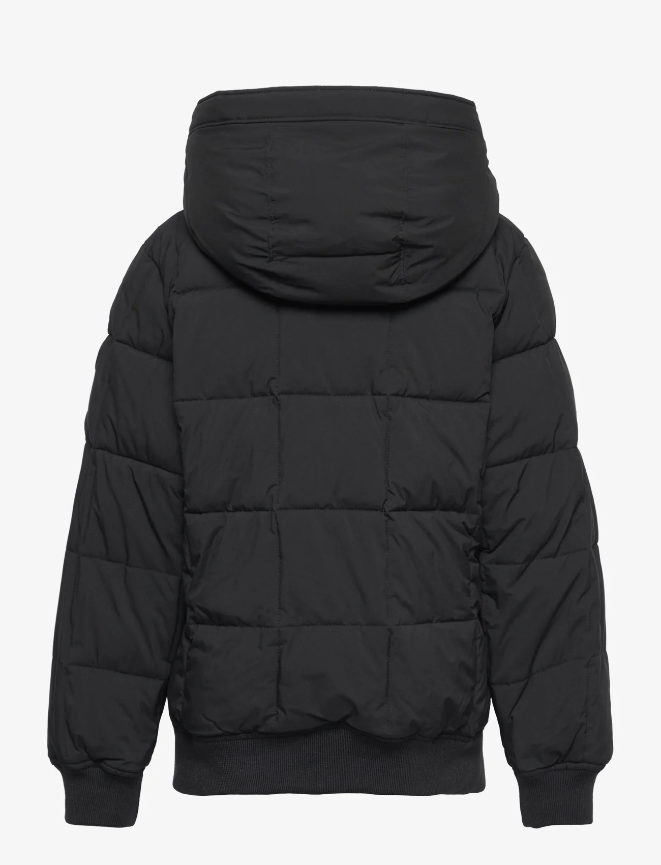 Abercrombie & Fitch - kids BOYS OUTERWEAR - untuva- & toppatakit - black - 1