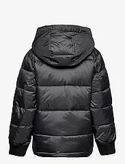 Abercrombie & Fitch - kids BOYS OUTERWEAR - puffer & padded - grey - 1