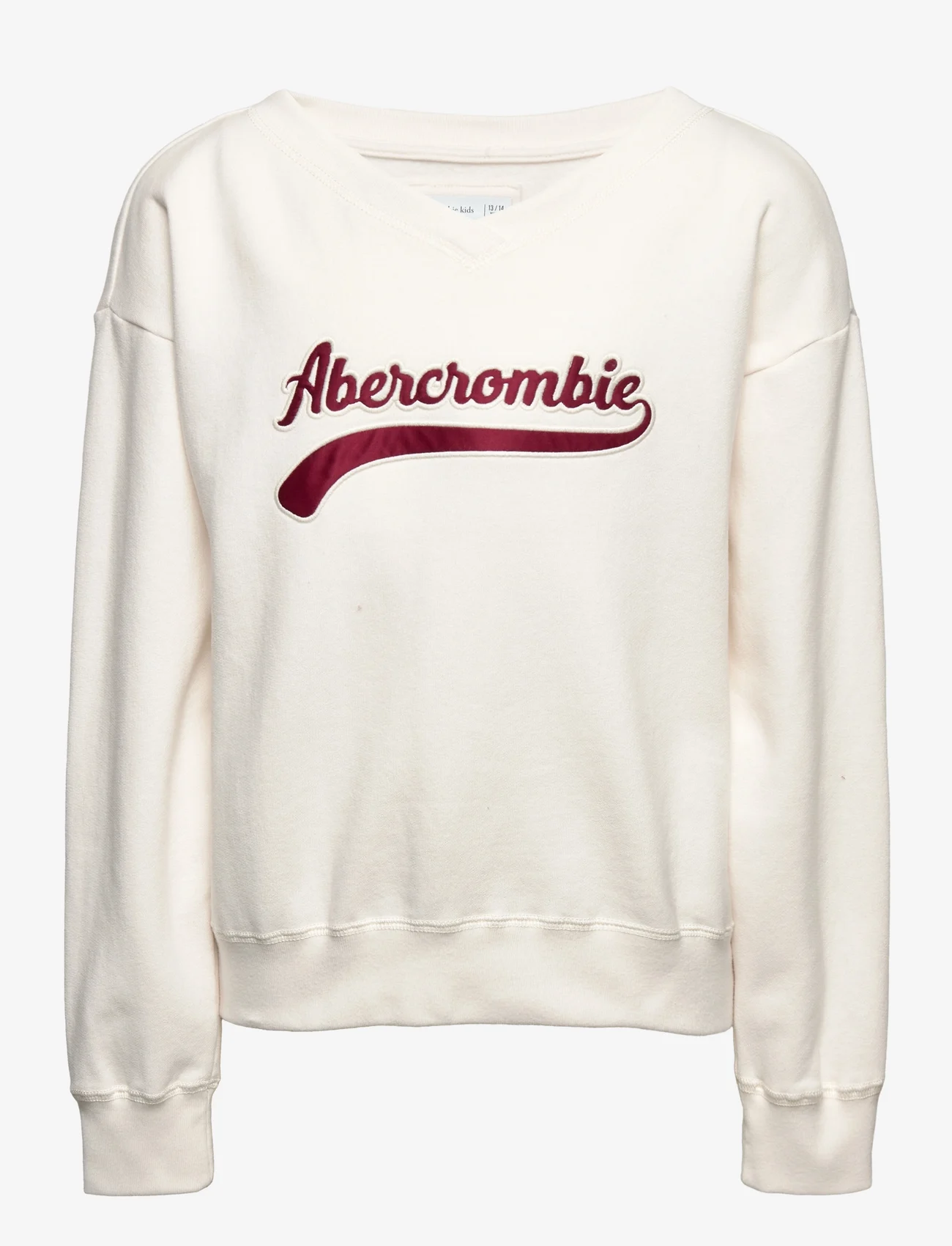 Abercrombie & Fitch - kids GIRLS SWEATSHIRTS - sweatshirts - cream - 0
