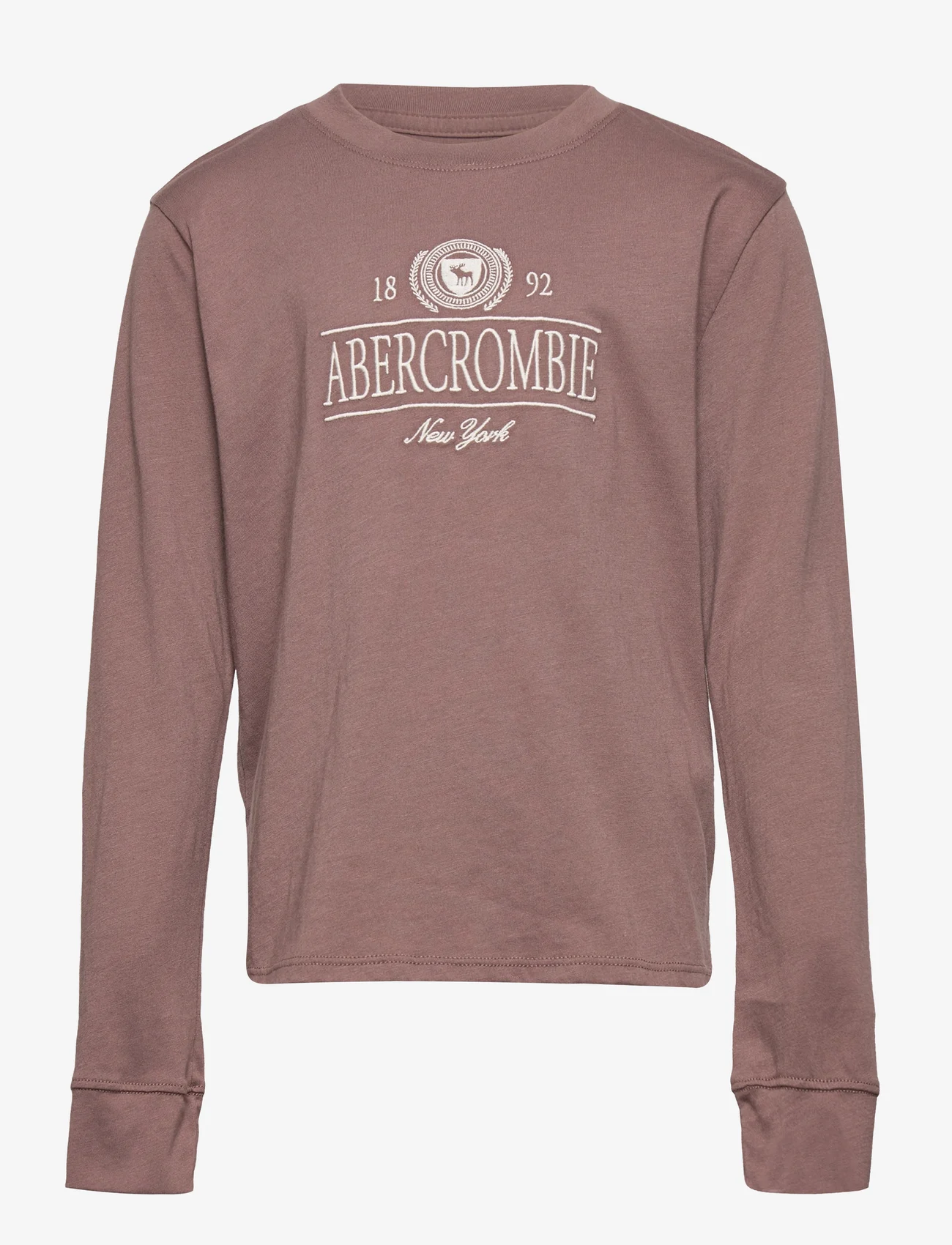 Abercrombie & Fitch - kids GIRLS GRAPHICS - brown - 0
