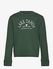 Abercrombie & Fitch - kids GIRLS GRAPHICS - long-sleeved t-shirts - green - 0