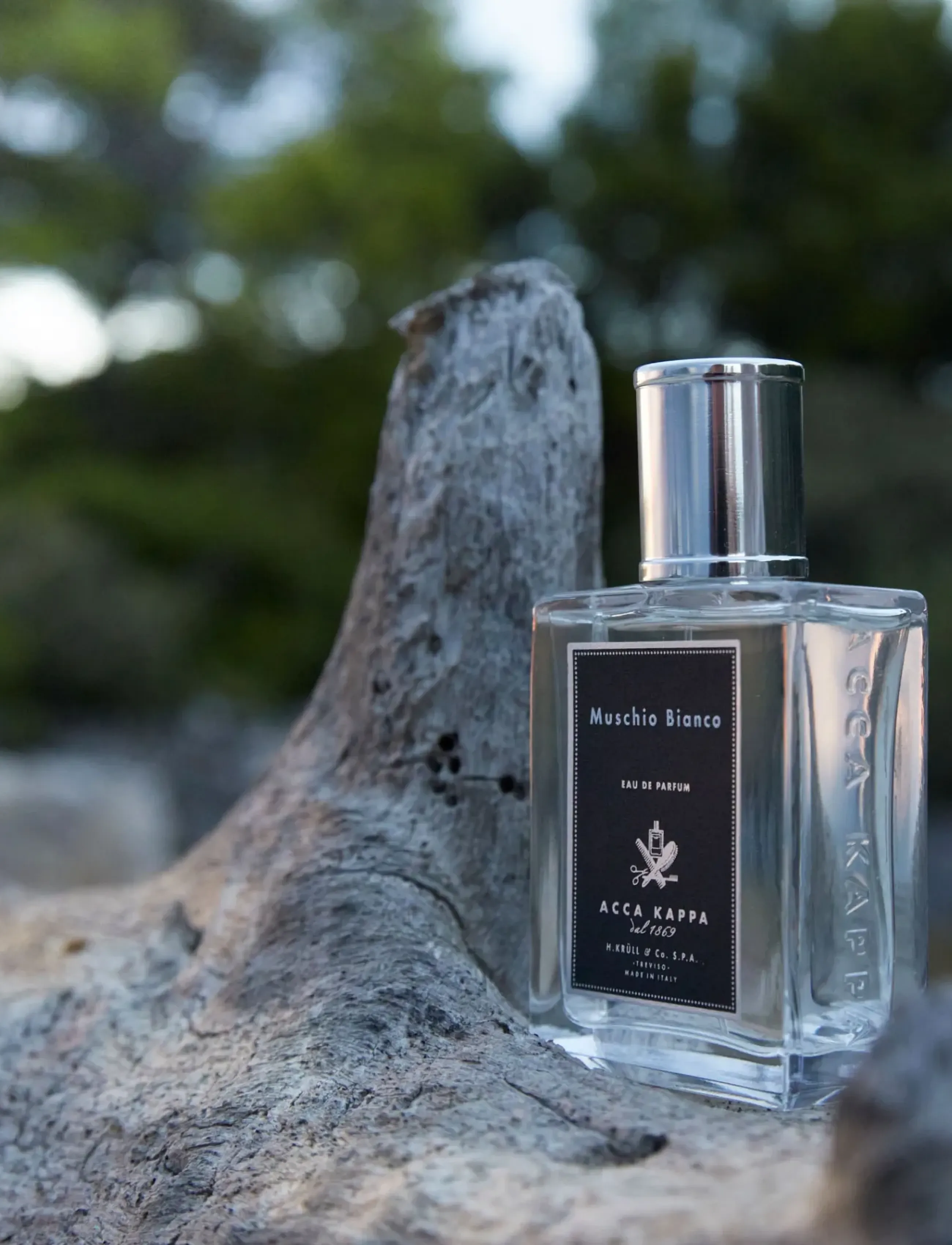 Acca Kappa WHITE MOSS - EAU DE PARFUM - Parfumer - CLEAR / undefined