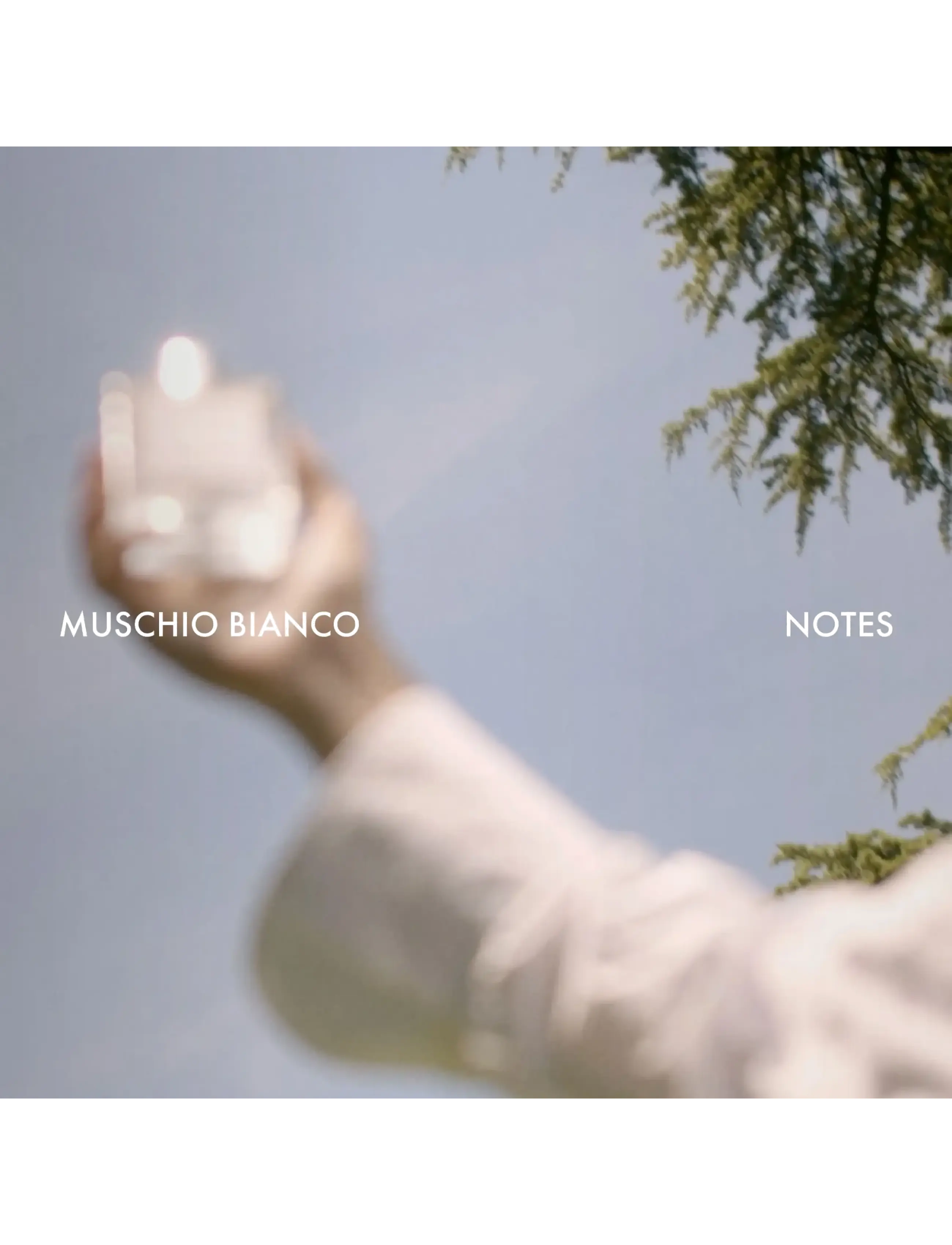 White Moss Eau De Parfum 5