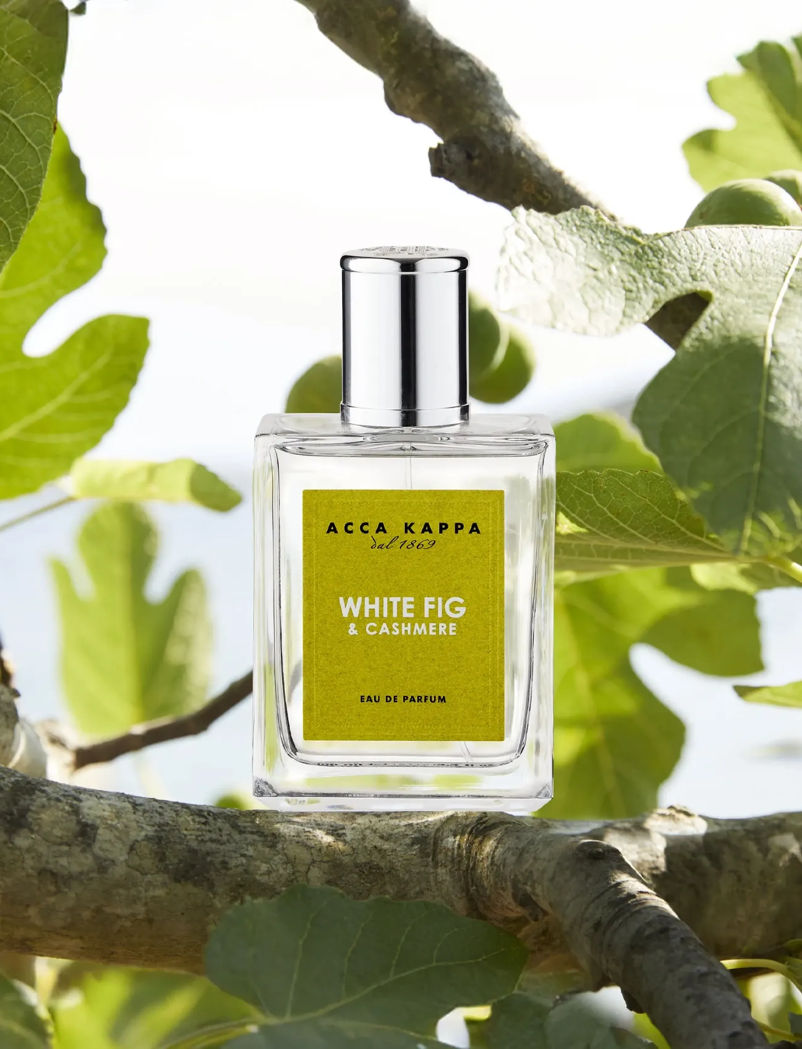 Acca Kappa White Fig & Cashmere - EAU DE PARFUM - Streetstyle - CLEAR / undefined