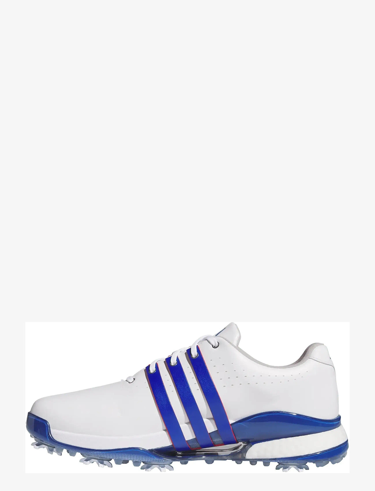 adidas Golf - TOUR360 24 - golfschuhe - ftwwht/royblu/betsca - 2