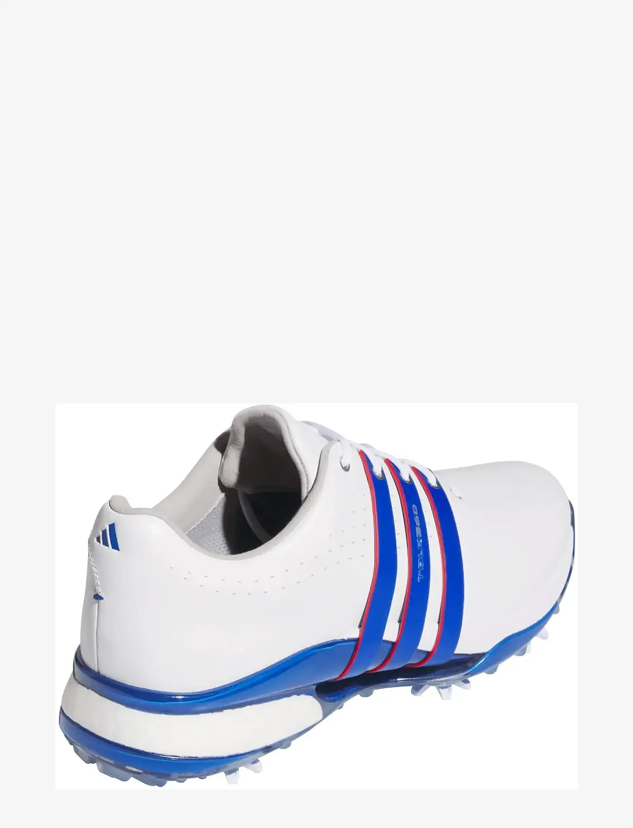 adidas Golf - TOUR360 24 - golfschuhe - ftwwht/royblu/betsca - 3