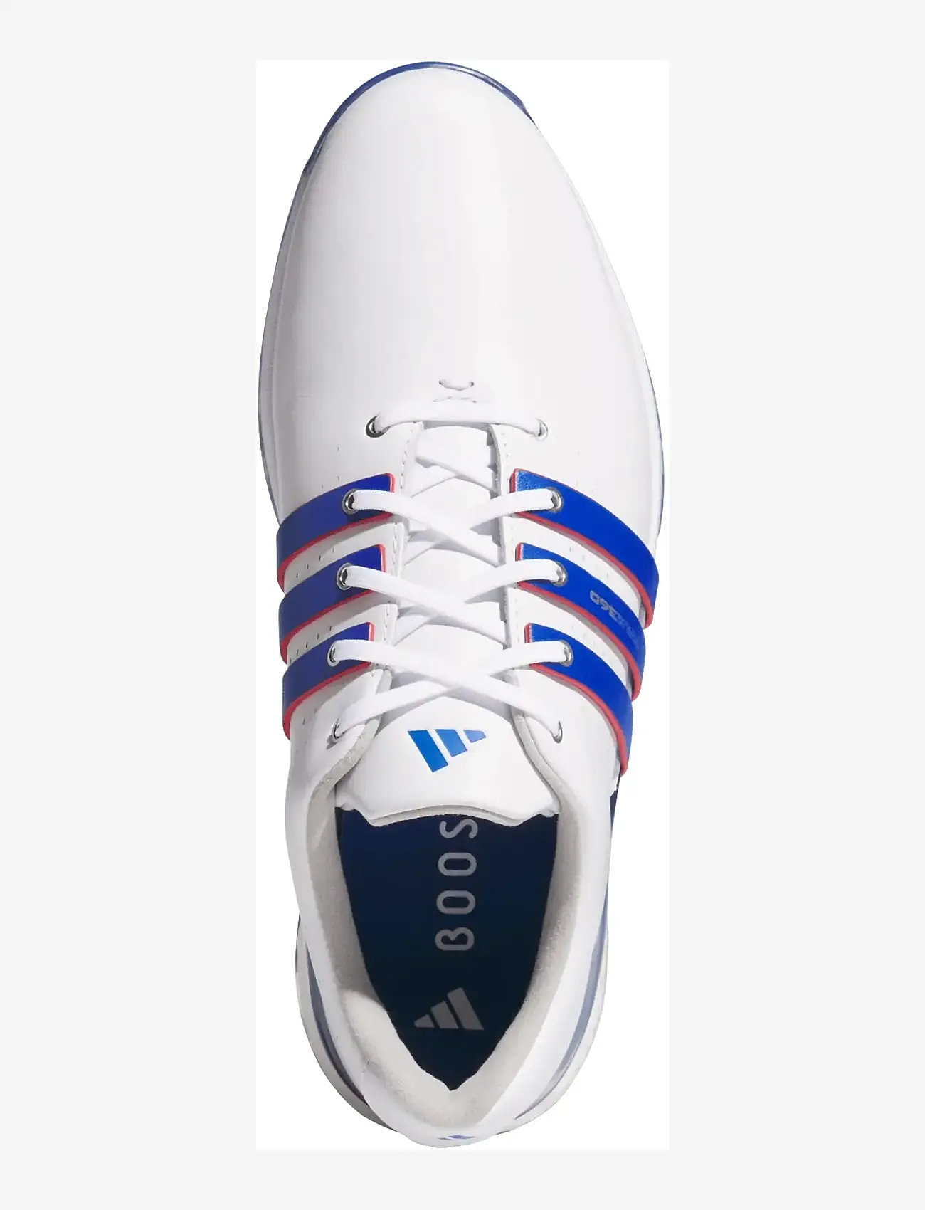 adidas Golf - TOUR360 24 - golfschuhe - ftwwht/royblu/betsca - 4