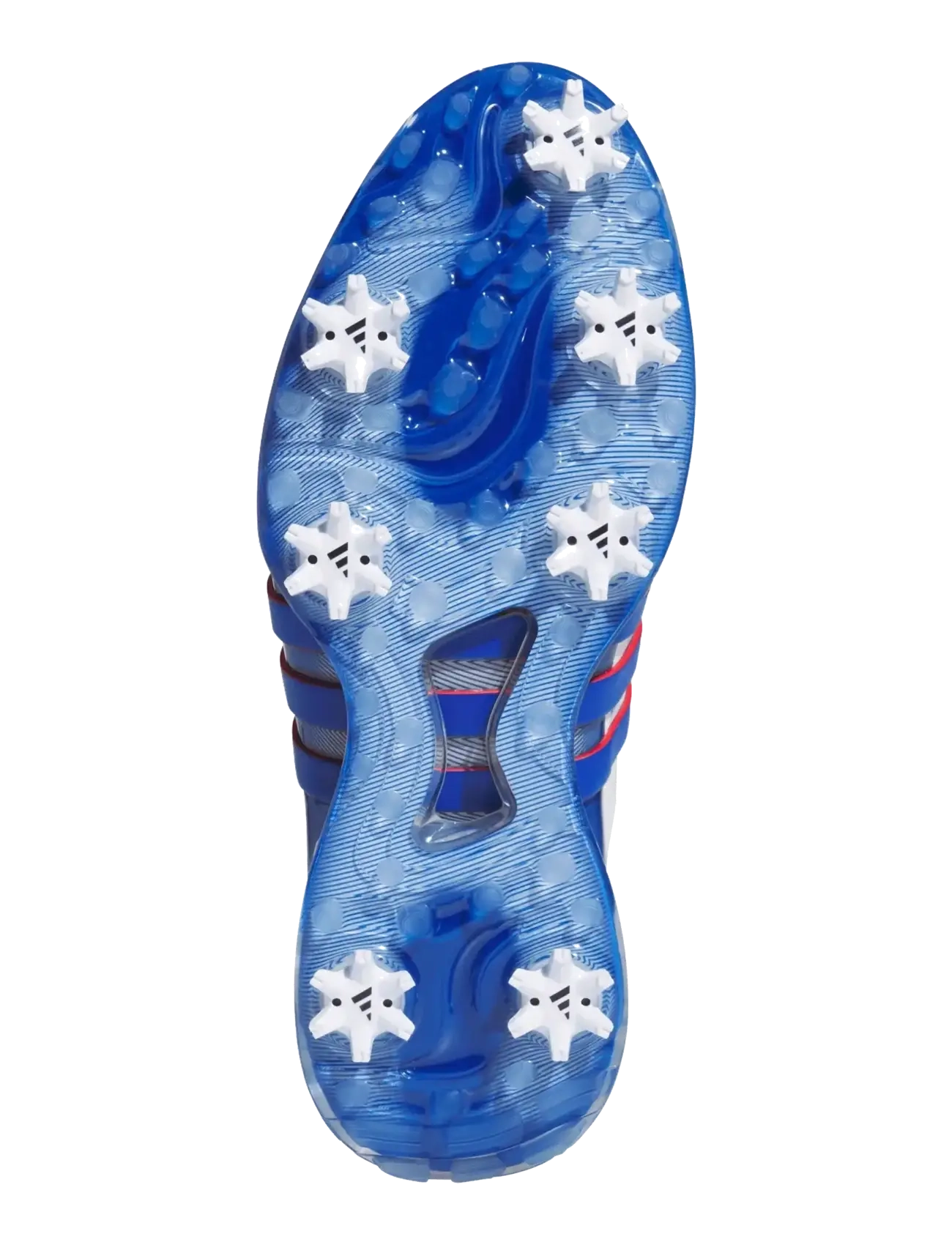 adidas Golf - TOUR360 24 - golfschuhe - ftwwht/royblu/betsca - 5