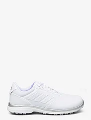 adidas Golf - W ALPHAFLEX 24 - golf shoes - ftwwht/silvmt/dshgry - 1
