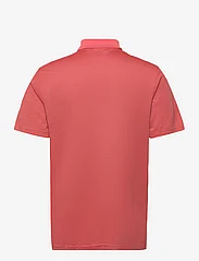 adidas Golf - OTTOMAN POLO - polo marškinėliai trumpomis rankovėmis - prelsc/chacoa - 1