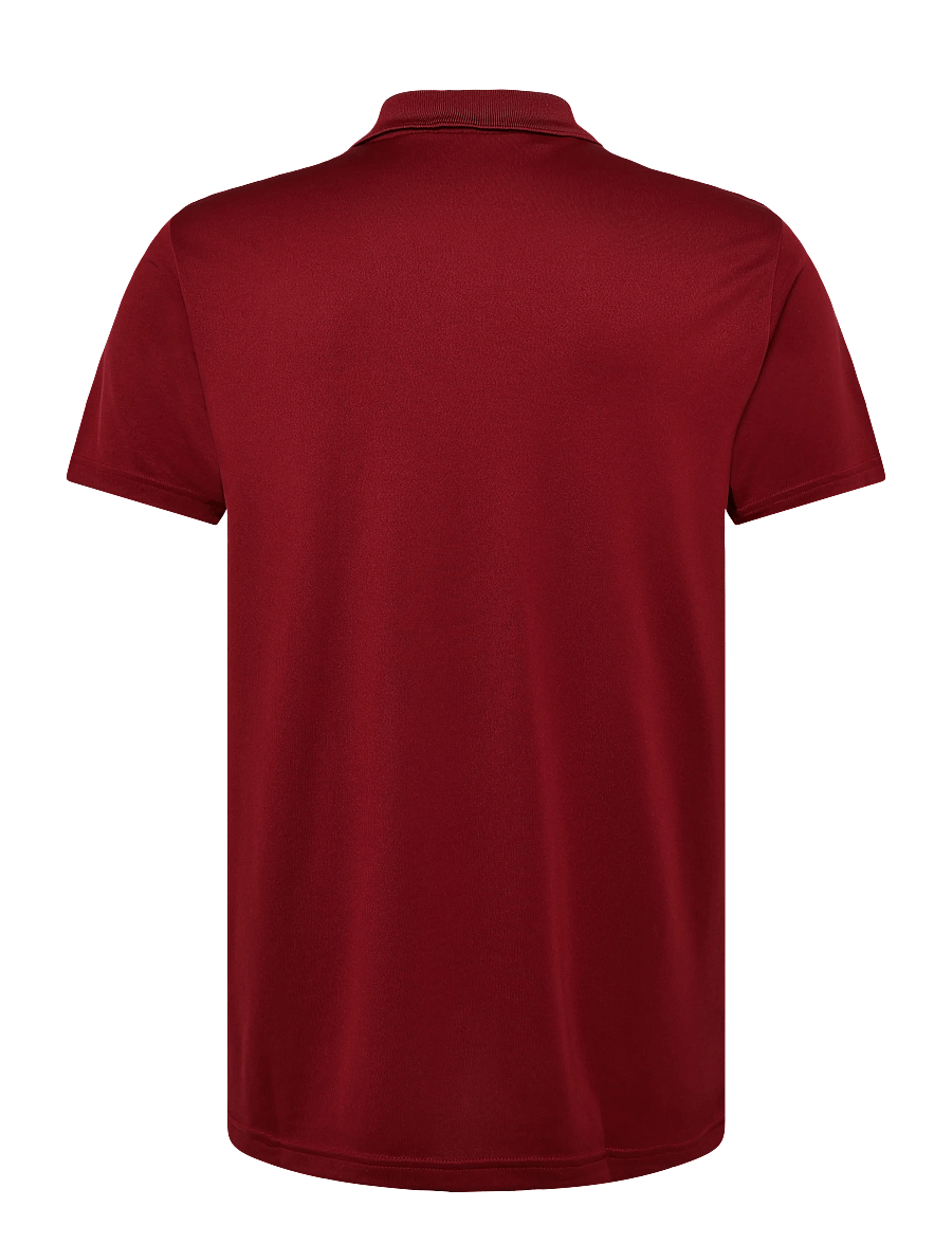 adidas Golf - ADI PERF POLO - alussärgid ja t-särgid - cburgu - 2